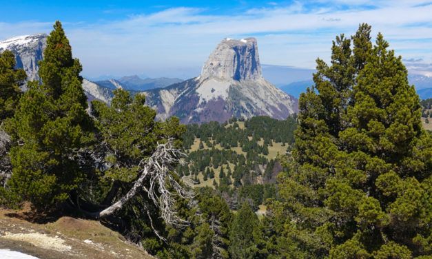 Les Quatre Têtes, la Tête de Praorzel par les crêtes. Vercors