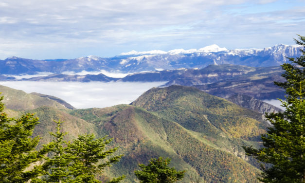 Le Grand Delmas1544 m, Diois