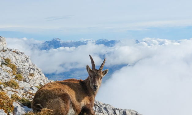 Le Grand Veymont par Chichilianne