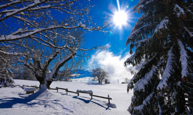 Plateau du  Sornin, Dent de Loup, Vercors